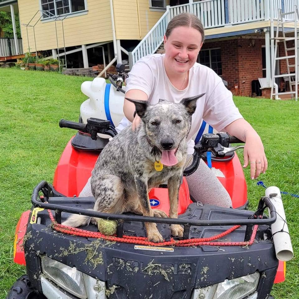 Lady with her dog riding on motor bike